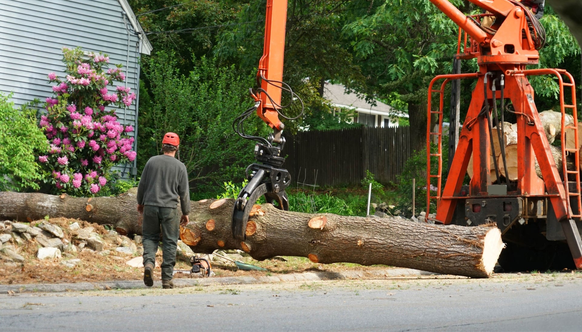 Local partner for Tree removal services in Milledgeville