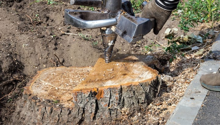 Milledgeville Tree stump removal